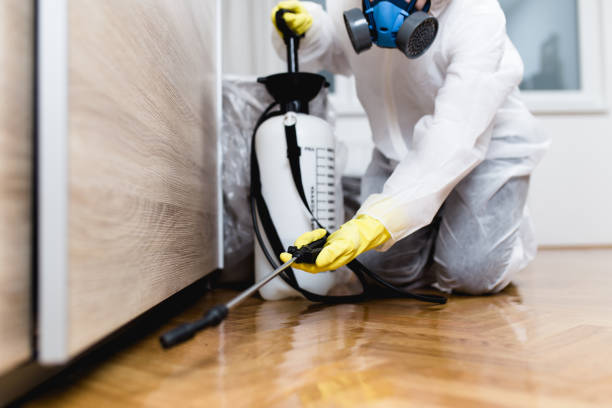 Pest Prevention Services in West Frankfort, IL