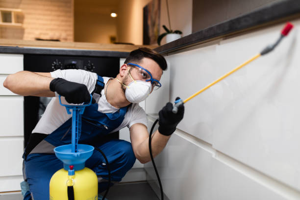Best Termite Control Services  in West Frankfort, IL