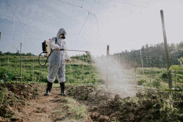 Best Best Pest Control Companies  in West Frankfort, IL