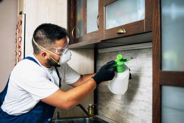 Best Pest Control for Homes  in West Frankfort, IL