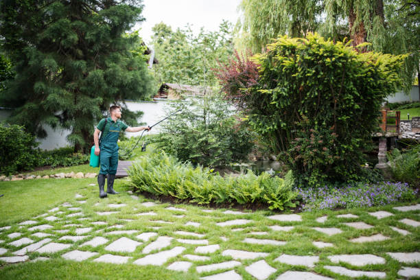 Best Affordable Pest Control Services  in West Frankfort, IL