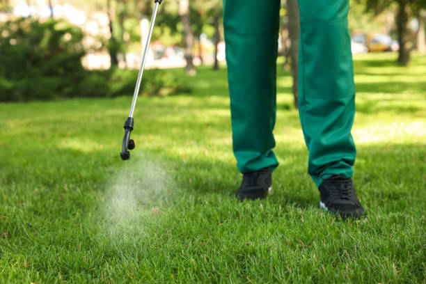 Best Emergency Pest Control  in West Frankfort, IL