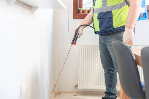 Best Flea Control Services  in West Frankfort, IL