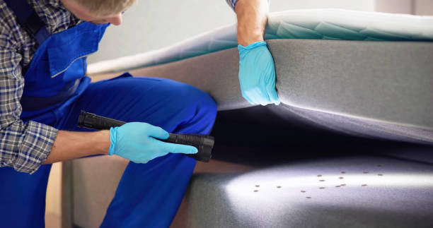 Best Rat Extermination Near Me  in West Frankfort, IL