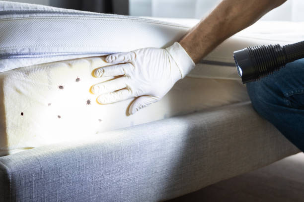 Best Pest Control Near Me  in West Frankfort, IL