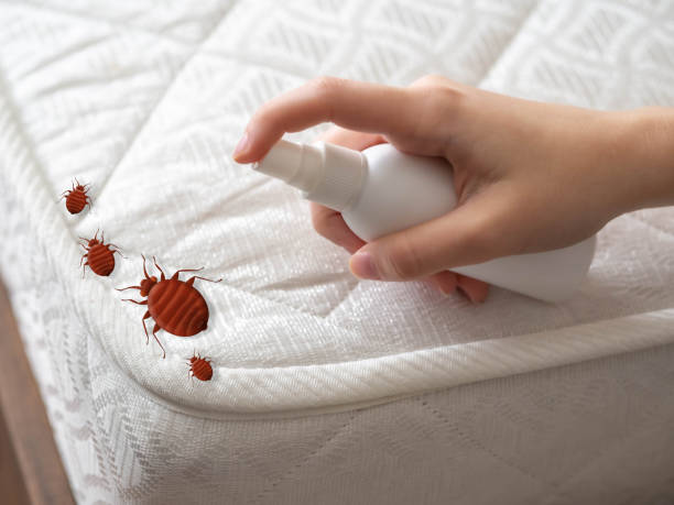 Best Mosquito Control Services  in West Frankfort, IL